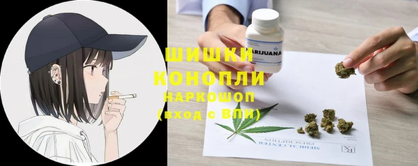 дурь Заводоуковск