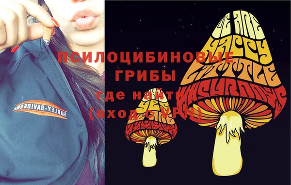 марки lsd Зеленодольск