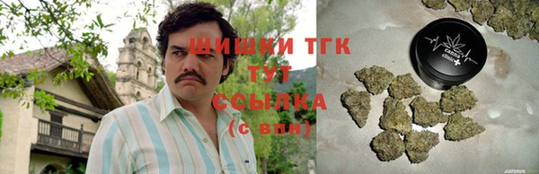 дурь Заводоуковск