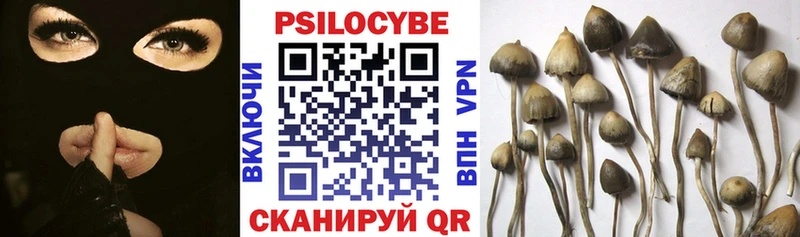 Купить где  Кадников  Галлюциногенные грибы GOLDEN TEACHER 